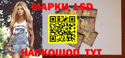 стафф Краснознаменск